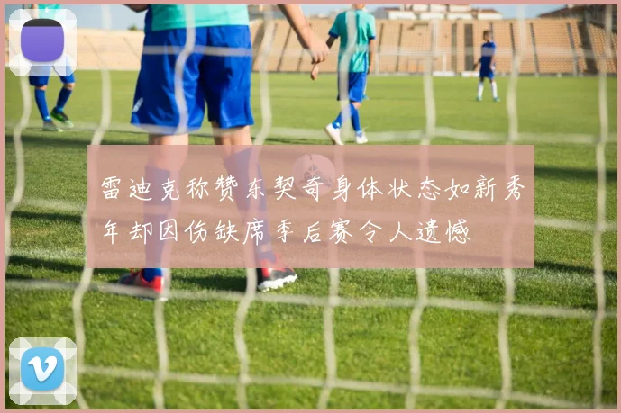 雷迪克称赞东契奇身体状态如新秀年却因伤缺席季后赛令人遗憾