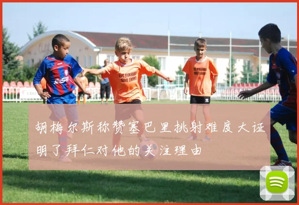 胡梅尔斯称赞塞巴里挑射难度大证明了拜仁对他的关注理由