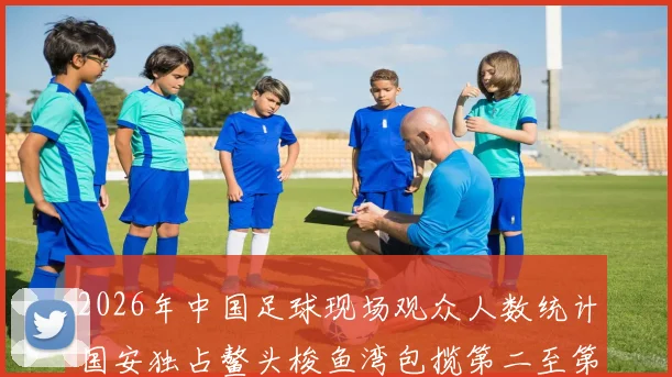 2026年中国足球现场观众人数统计国安独占鳌头梭鱼湾包揽第二至第七位